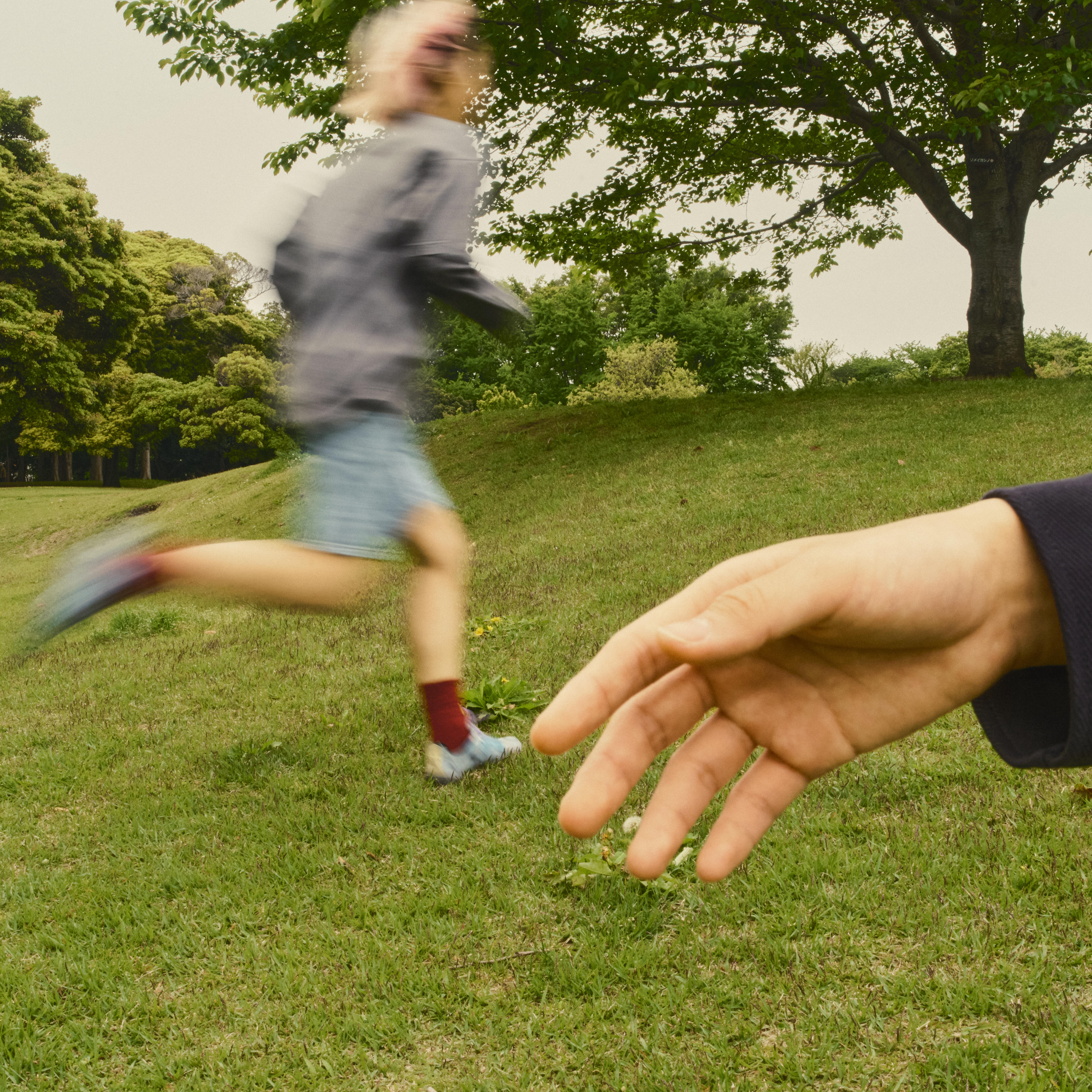 RELEASE